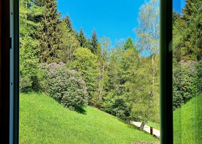 Pensjonat Alena *